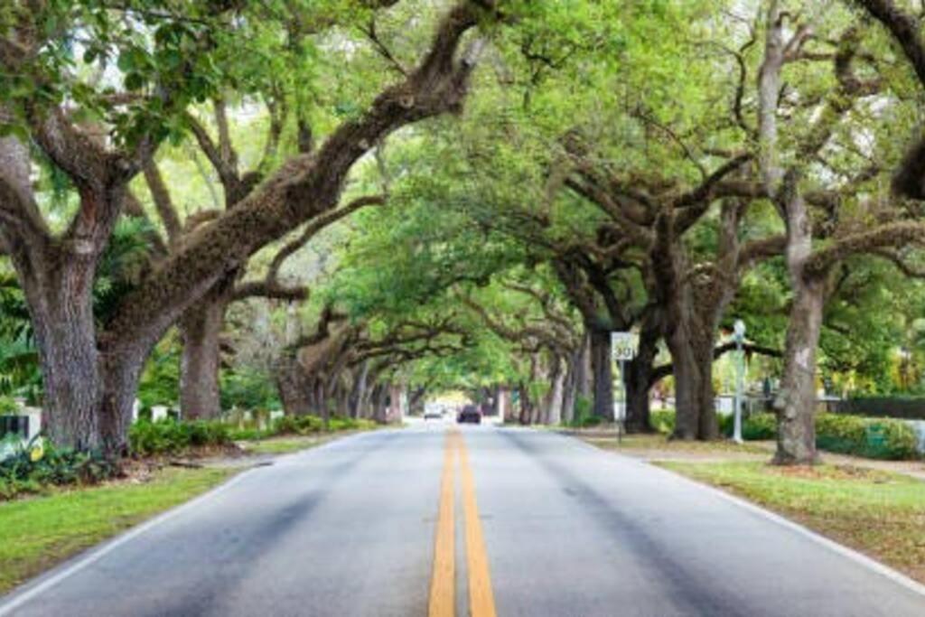 My Lovely Home In Miami 15 Minutes From The Beach Екстериор снимка